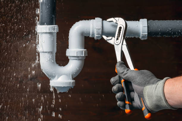Professional Plumbing technician working in Galesville, WI